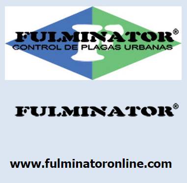 Logo, marca ,tipografía y dominio de Fulminator
